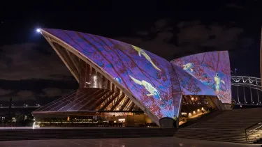 Badu Gili: wonder women art projects on the sails of Sydney opera house.