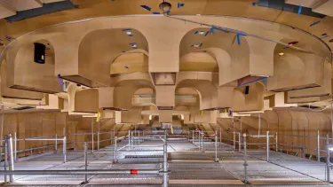 A wooden roof structure.