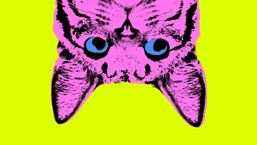 Illustration of an upside-down cat's face in pink and blue against a bright yellow background.