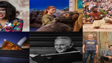 A collage of artists at Sydney opera house.